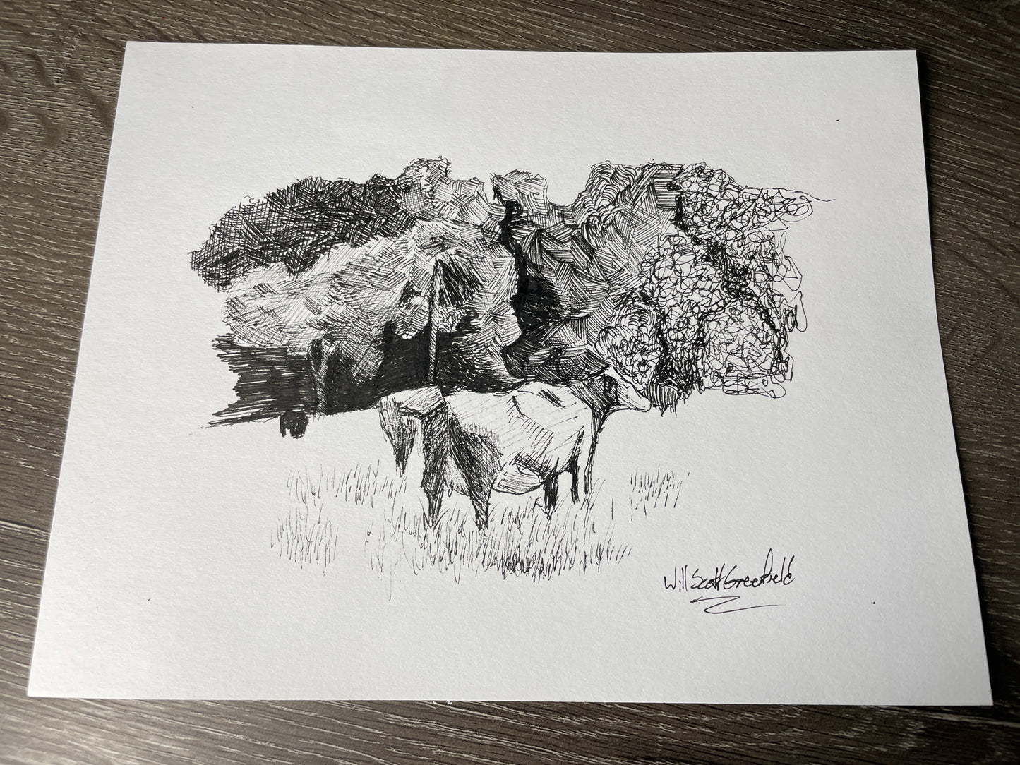 "Herefords to Pasture"