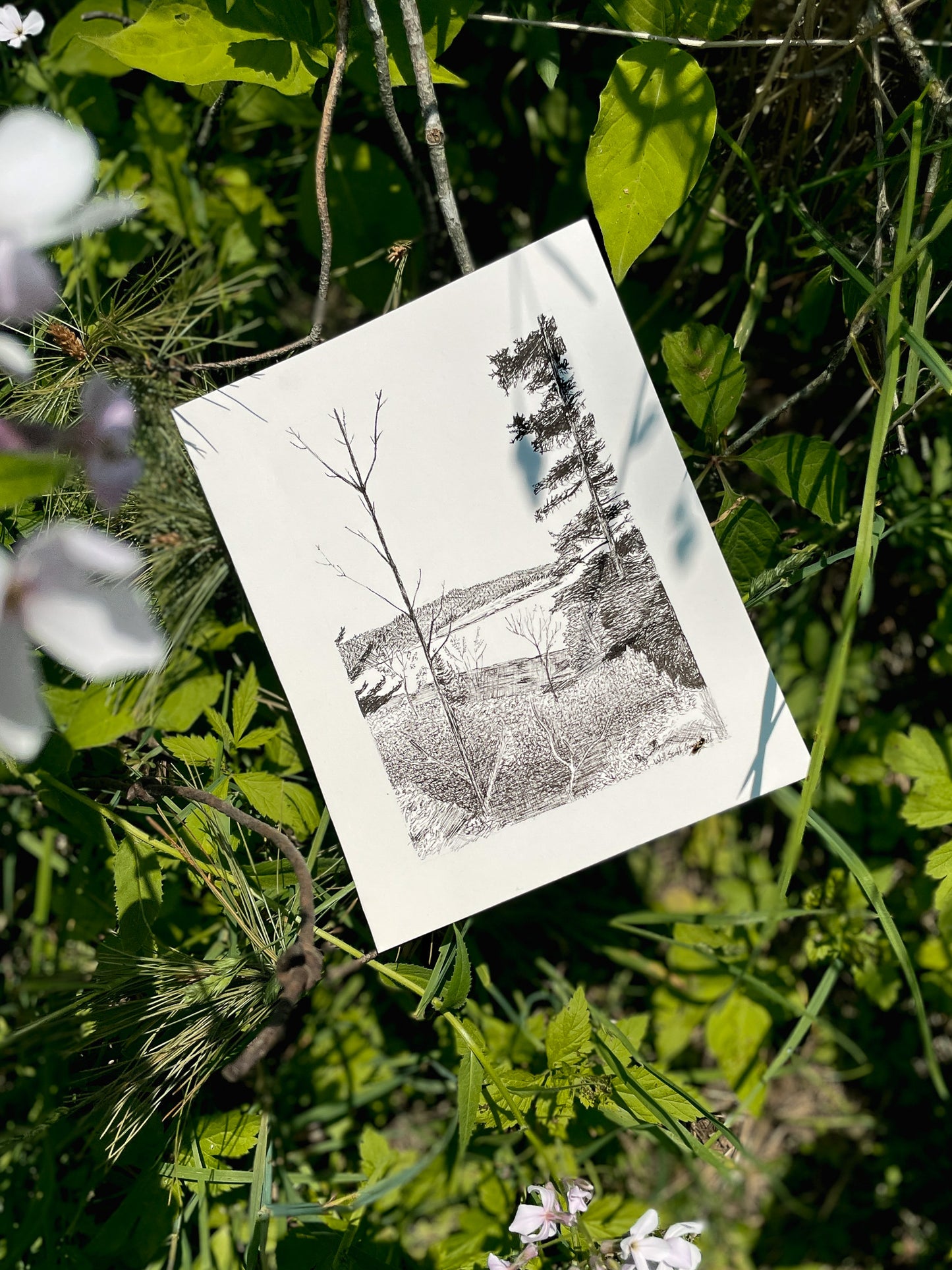 Personalized Landscape Illustration