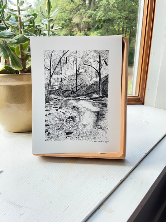 "Walk by the Stream"