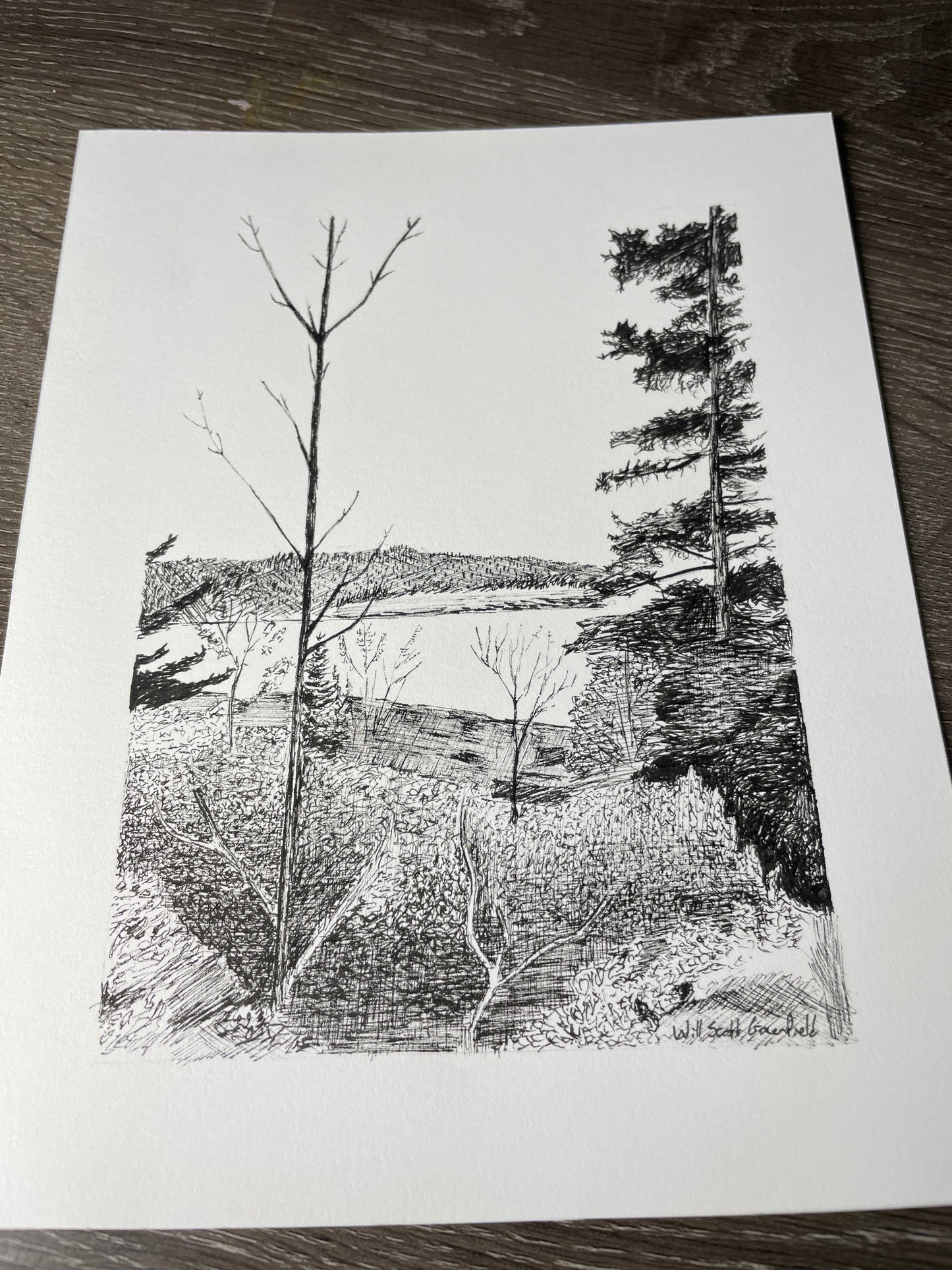 "Sand Beach Overlook"