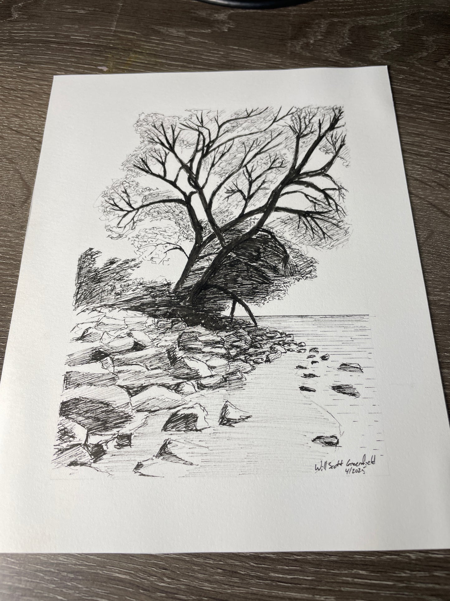 "Tree at the Beach"