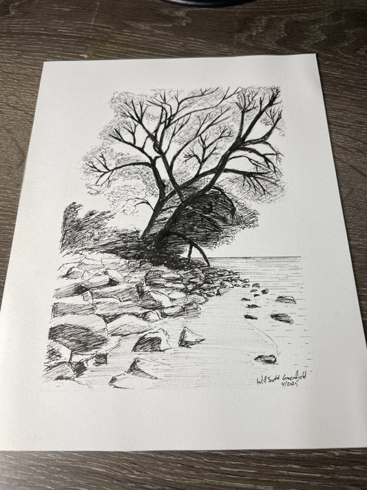 "Tree at the Beach"